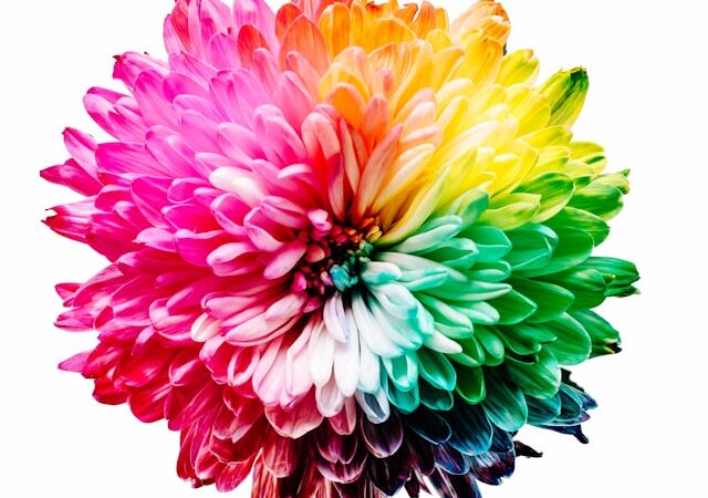 Blüte in Regenbogenfarben